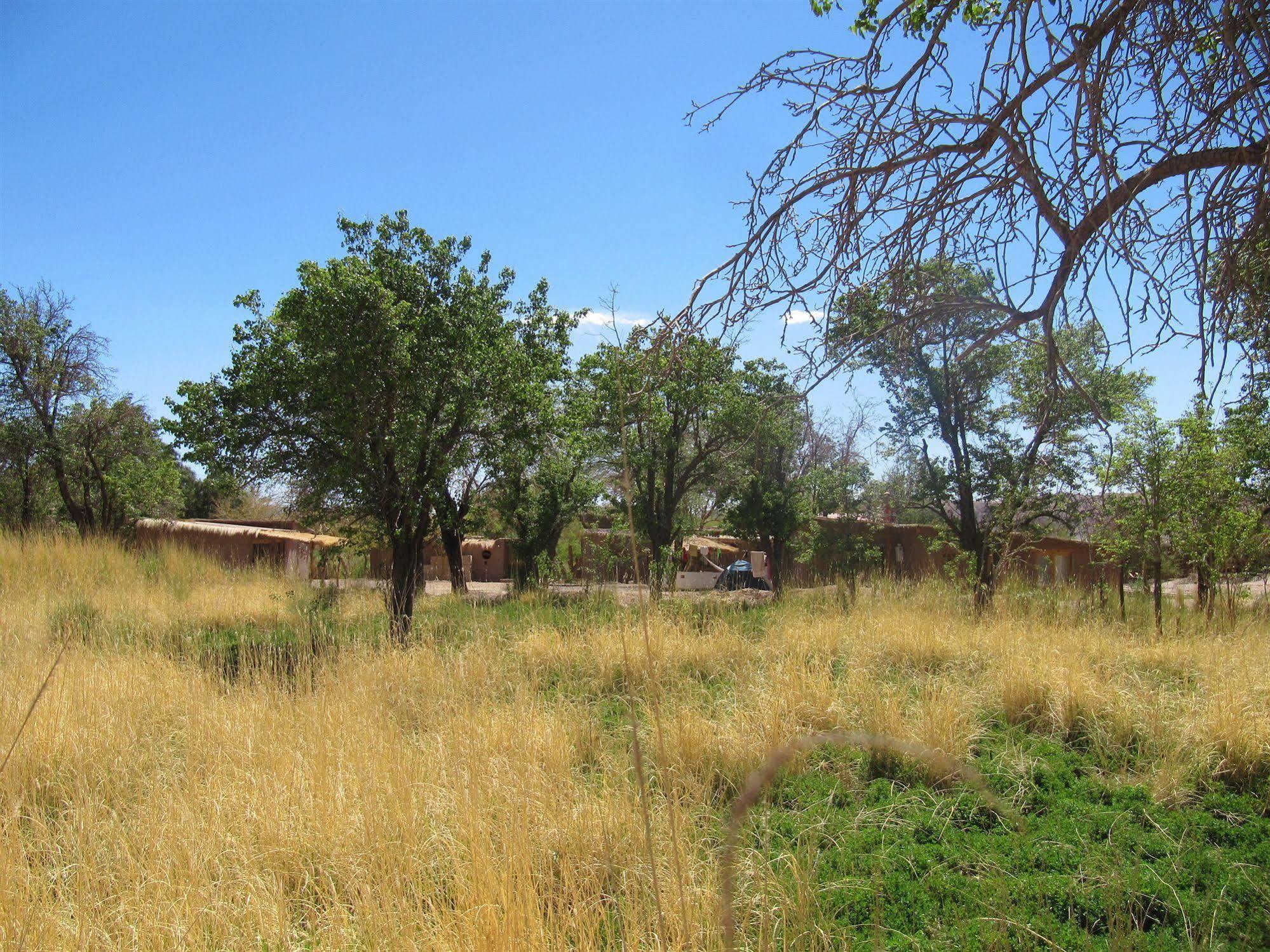 Rancho Quitapenas Bungalows Σαν Πέδρο ντε Ατακάμα Εξωτερικό φωτογραφία