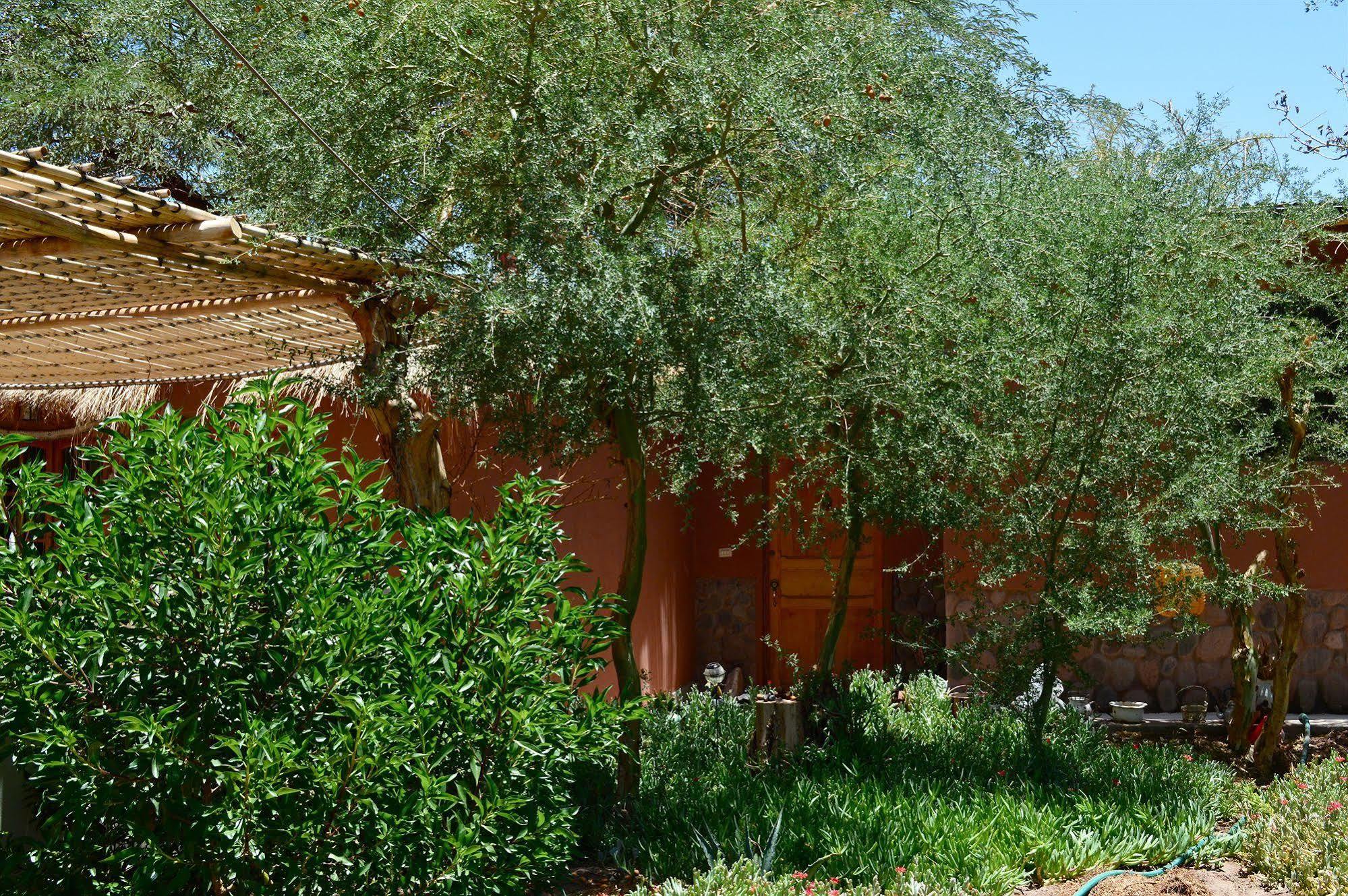 Rancho Quitapenas Bungalows Σαν Πέδρο ντε Ατακάμα Εξωτερικό φωτογραφία