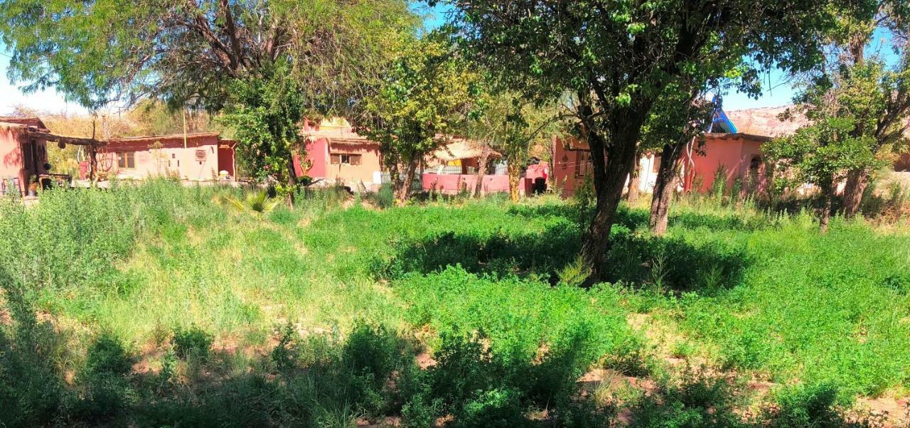 Rancho Quitapenas Bungalows Σαν Πέδρο ντε Ατακάμα Δωμάτιο φωτογραφία