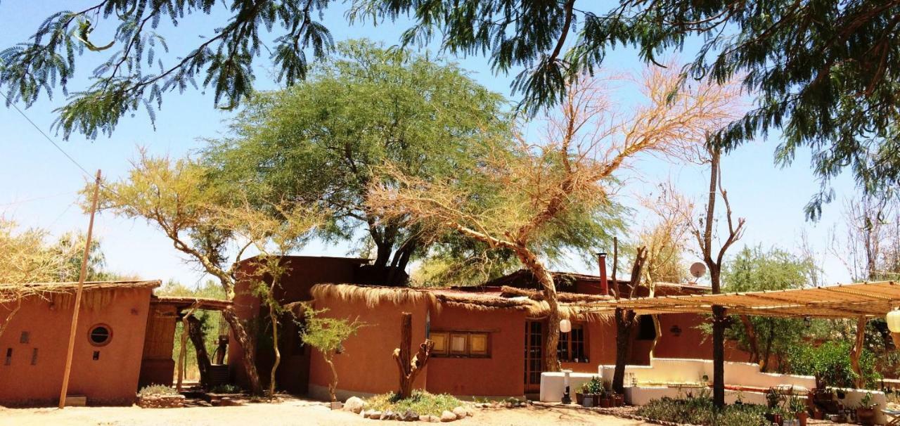 Rancho Quitapenas Bungalows Σαν Πέδρο ντε Ατακάμα Δωμάτιο φωτογραφία